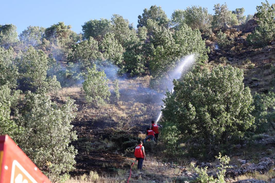 Adıyaman'daki yangınlarda 14 hektar alan zarar gördü - Resim: 1